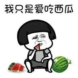 娱乐吃瓜酱专属梗图片,图解娱乐圈那些事儿